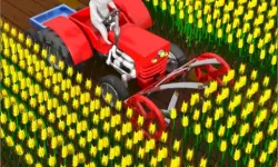 Cut the Grass Cutting Grass