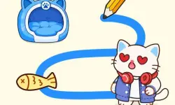 Kitty Home