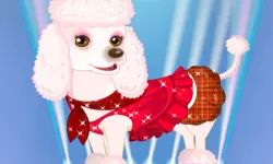 My Cute Dog Daisy