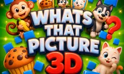 Whats That Picture 3D