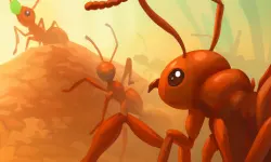Ants io